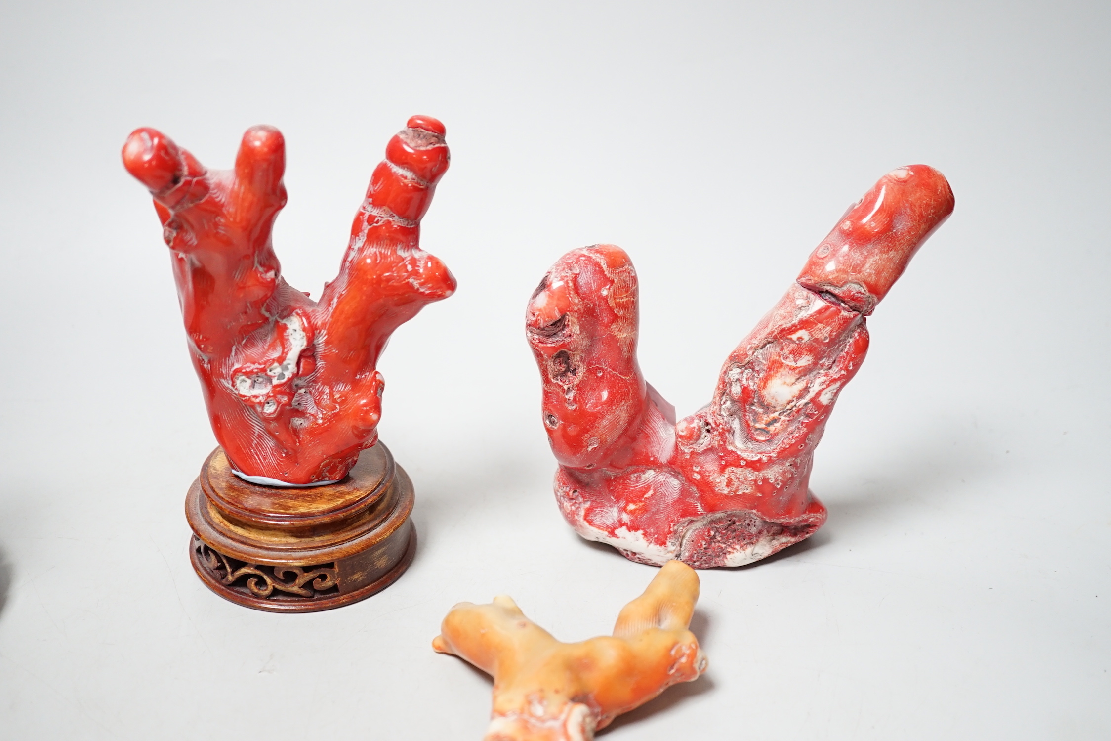 Five Chinese coral fragments